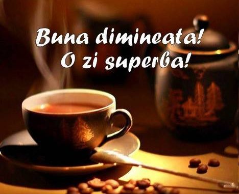 Buna dimineata